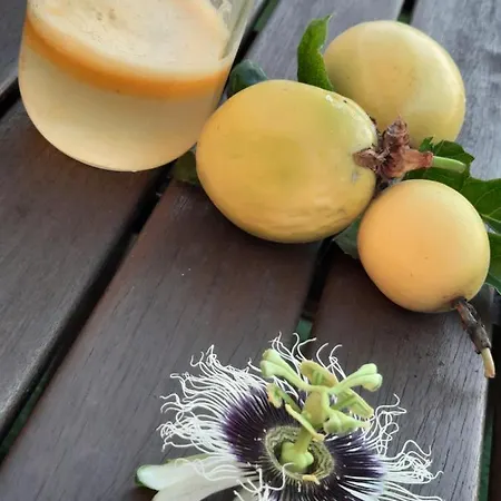 Mi Cumanesa 度假居 弗龙特拉