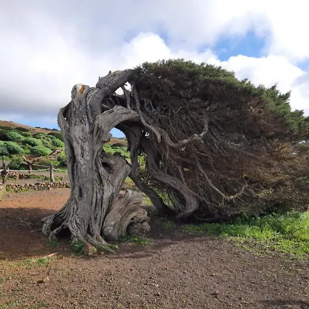 Mi Cumanesa 度假居 *