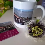 Mi Cumanesa Frontera