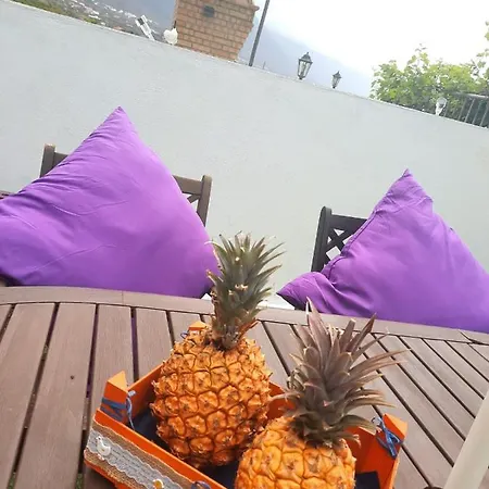 Mi Cumanesa Tatil Evi