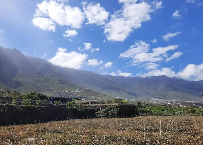 Mi Cumanesa La Frontera