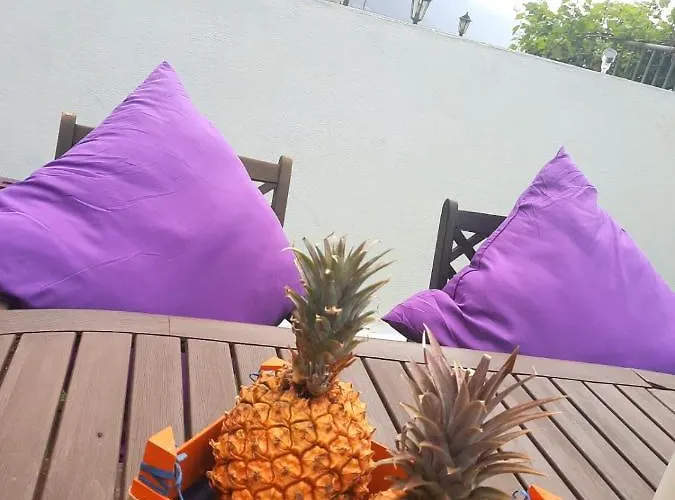 Mi Cumanesa Сasa de vacaciones