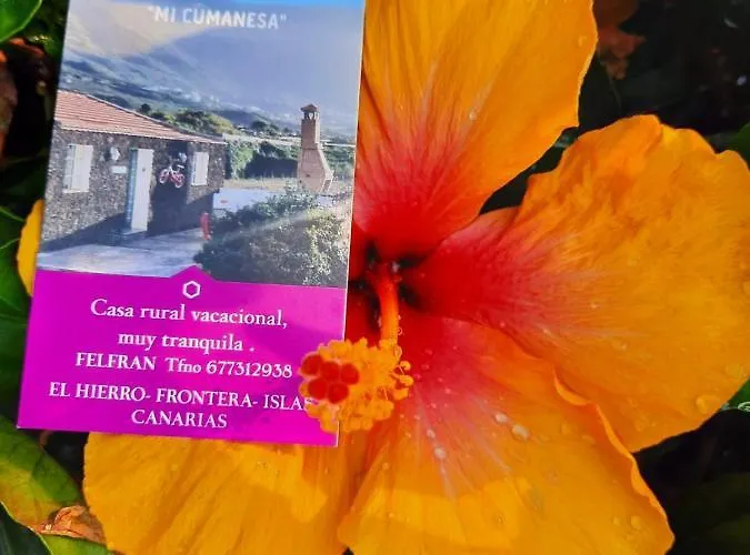 Mi Cumanesa